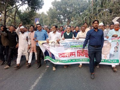 নান্দাইলে বিএনপির আনন্দ মিছিল
