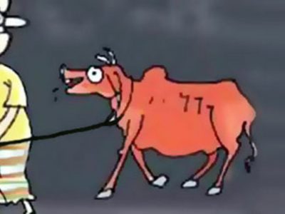 নান্দাইলে এক রাতে কৃষকের ১১ গরু চুরি