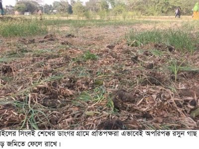 নান্দাইলে মালিকানা বিরোধে ফসল নষ্ট করার অভিযোগ