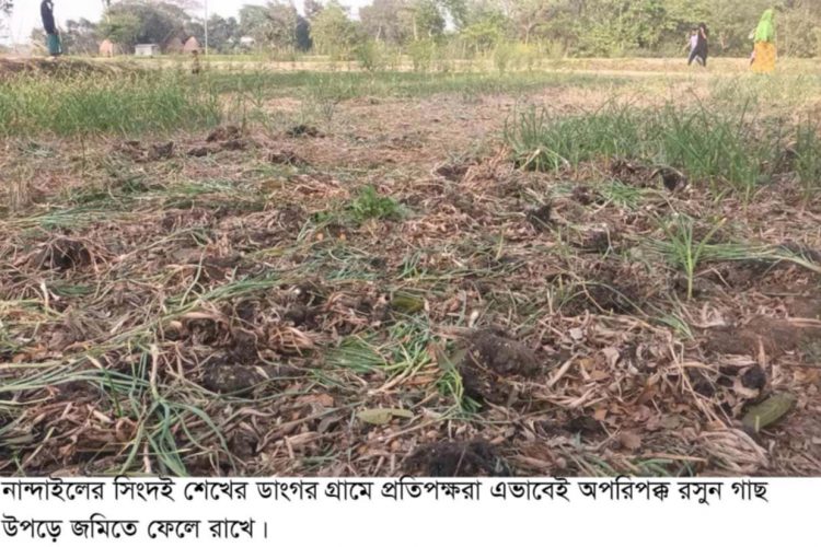 নান্দাইলে মালিকানা বিরোধে ফসল নষ্ট করার অভিযোগ