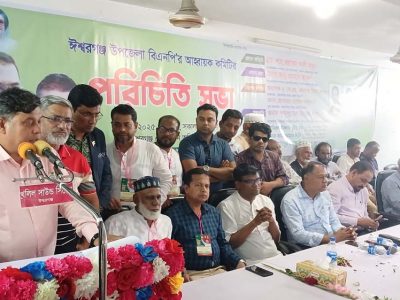 জনগণের ভোটে নির্বাচিত সরকার গঠিত না হওয়া পর্যন্ত এই আঁধার কাটবে না : ওয়ারেস আলী মামুন