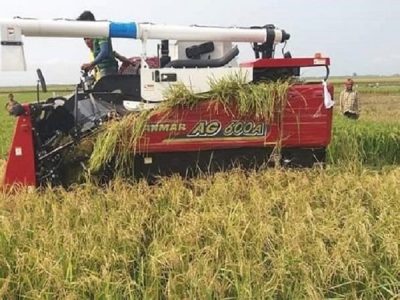 ত্রিশালে ধান কাটার মৌসুমেও মিলছে না ভর্তুকির কম্বাইন হারভেস্টার
