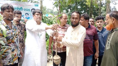 নান্দাইলে বিএনপি নেতা শামছুল ইসলামের চারা বিতরণ