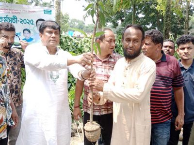 নান্দাইলে বিএনপি নেতা শামছুল ইসলামের চারা বিতরণ
