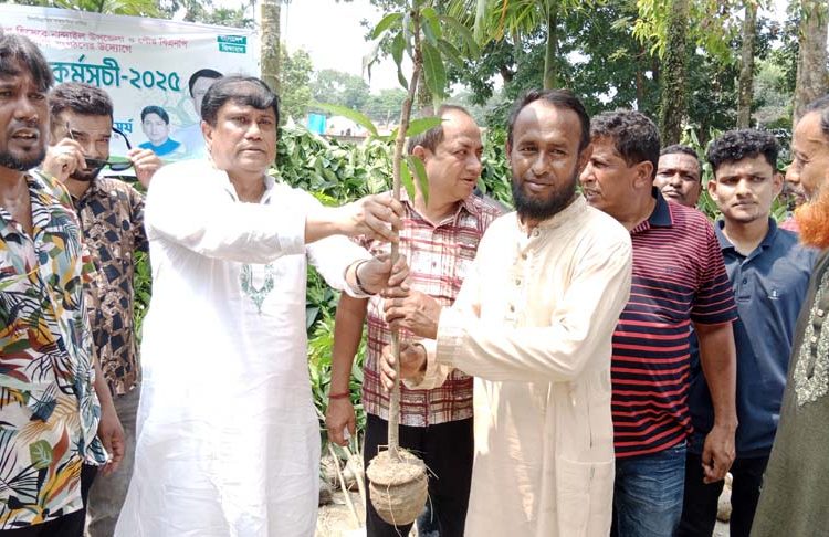 নান্দাইলে বিএনপি নেতা শামছুল ইসলামের চারা বিতরণ