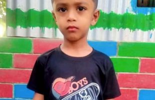 ময়মনসিংহে পানিতে ডুবে তিন শিশু ও সাপের কামরে একজনের মৃত্যু
