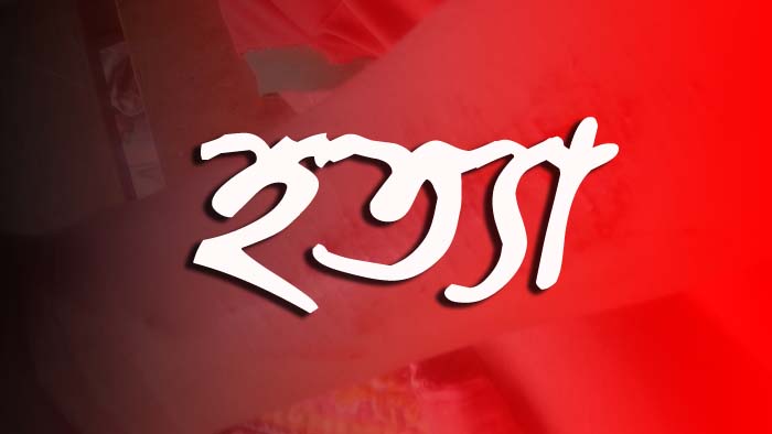 ময়মনসিংহে পিটিয়ে ও অস্ত্রের আঘাতে দুই যুবককে হত্যাঃ আটক ১