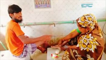 ময়মনসিংহে শিয়ালের কামড়ে শিশুসহ আহত ৬