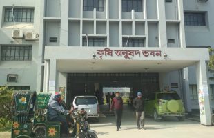 শিক্ষার্থীদের ওপর বহিরাগত সন্ত্রাসী দিয়ে নৃশংস হামলার ঘটনার তীব্র নিন্দা ও প্রতিবাদ জানিয়ে বিবৃতি -শিক্ষার্থীদের