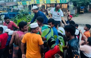প্রকৃতিকে রক্ষা করতে স্বস্ব উদ্যোগে গাছ লাগাই ও পরিচর্যা করি —এড, এম এ হান্নান খান