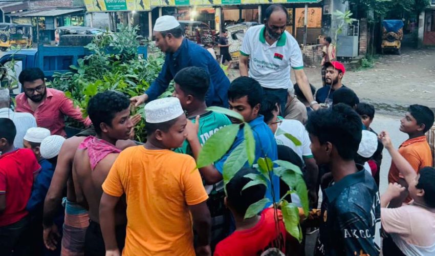 প্রকৃতিকে রক্ষা করতে স্বস্ব উদ্যোগে গাছ লাগাই ও পরিচর্যা করি —এড, এম এ হান্নান খান