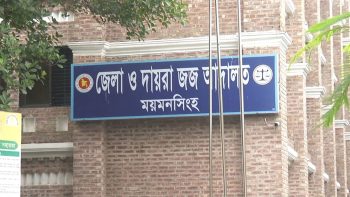 গৌরীপুরে মিঠু হত্যা মামলায় পলাতক দুই ভাইয়ের মৃত্যুদণ্ড