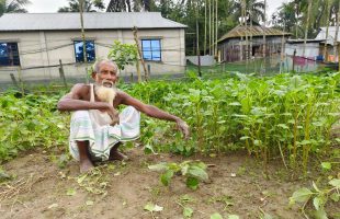 টানা বৃষ্টিতে ফসলের ক্ষতির শঙ্কা, থেমে গেছে ধান কাটা