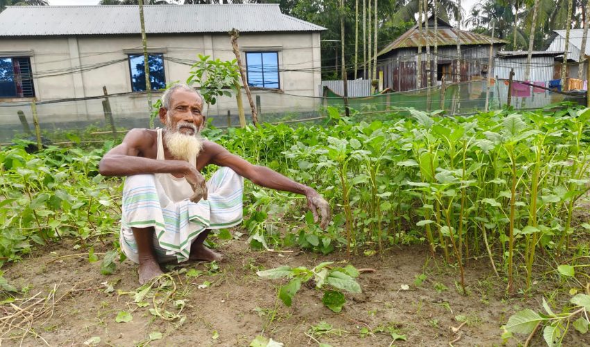 টানা বৃষ্টিতে ফসলের ক্ষতির শঙ্কা, থেমে গেছে ধান কাটা