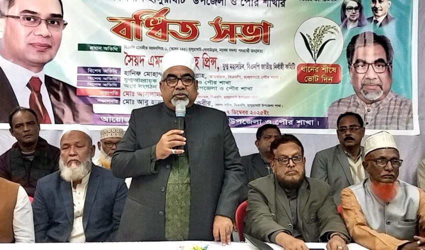 গণতন্ত্র পুনরুদ্ধারে আমাদেরকে ঐক্যবদ্ধ থাকতে হবে হালুয়াঘাটে বিএনপির যৌথ বর্ধিত সভায় প্রিন্স