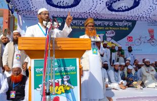 বিগত সময়ে যারা ক্ষমতায় ছিল তারা দেশের প্রতিনিধি নয়, বরং ভিনদেশী কৃতদাসী -মামুনুল হক