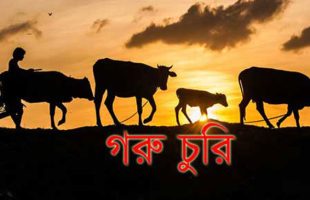 ত্রিশাল পৌরসভায় এক রাতে ৭টি গরু চুরি, খামারি ও জনমনে আতঙ্ক