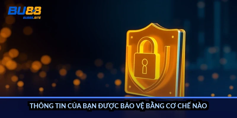 Thông tin của bạn được bảo vệ bằng cơ chế nào?