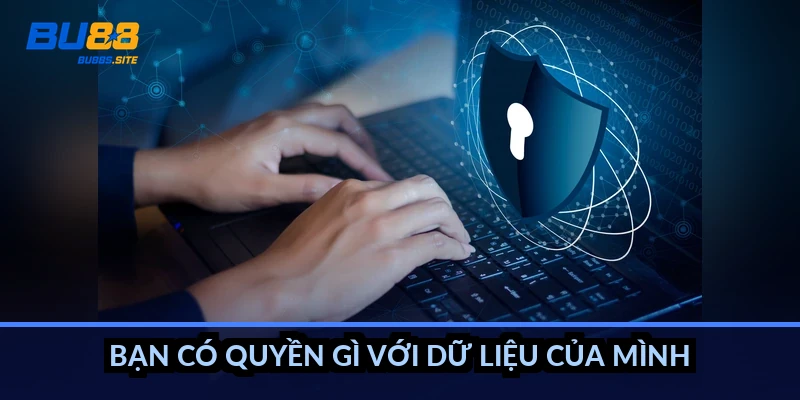Bạn có quyền gì với dữ liệu của mình?